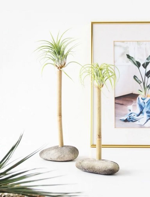 air plant Bamboo Stick and Rock Stand