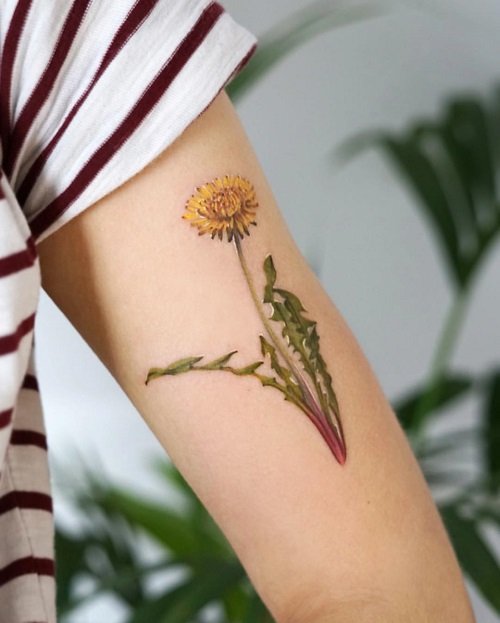 Dandelion Tattoo ideas 26