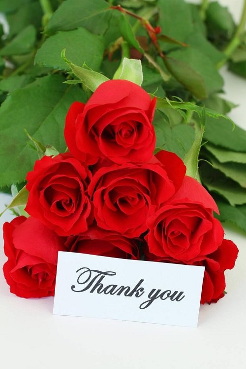 Thank You Flowers with note