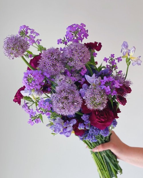 Purple Alliums Best Manly Flowers For Gifting