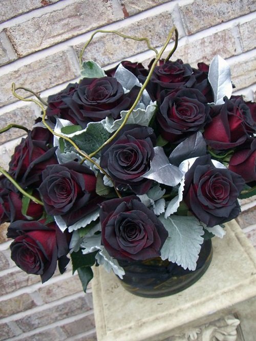 Black Baccara Roses Best Manly Flowers For Gifting