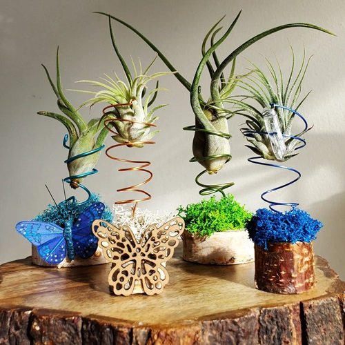 Butterfly spring airplant Stand