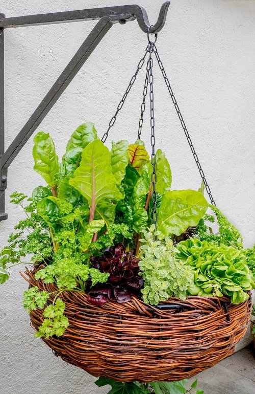 diy hanging baskets for herbs 4