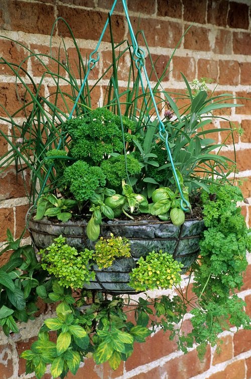 diy hanging baskets for herbs 2