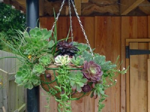 diy hanging baskets for herbs 6