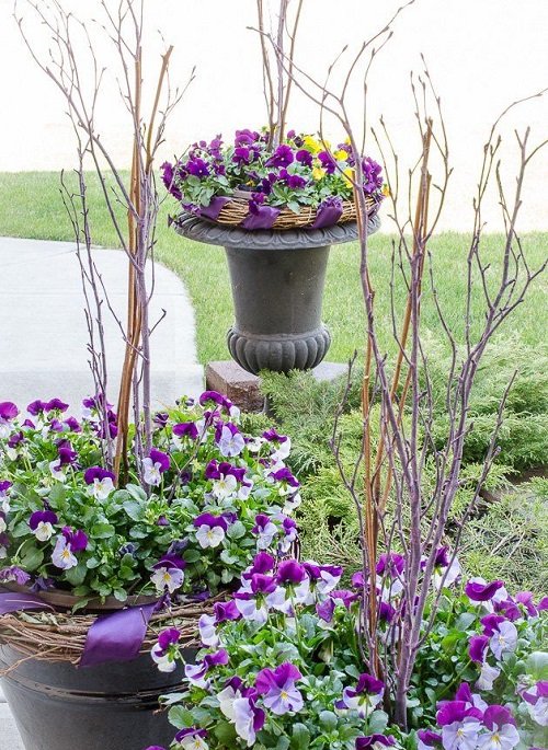 best Purple Spring Flowers in garden