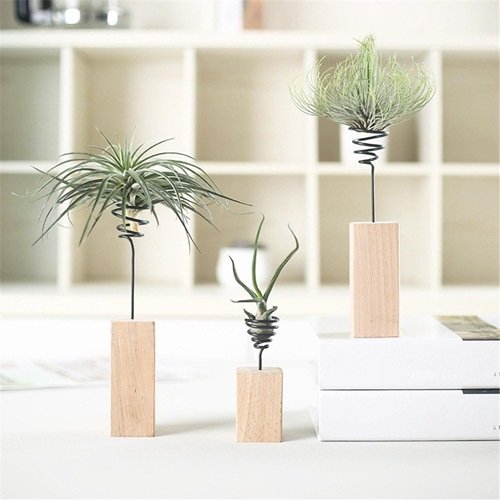 Wooden Blocks airplant Stand 
