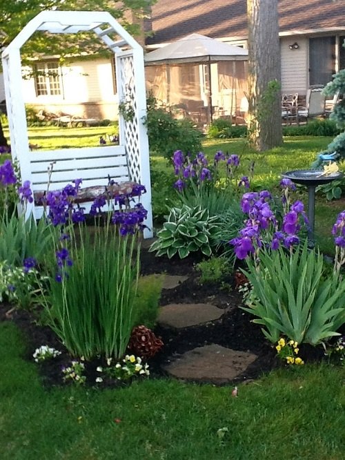 beautiful iris garden ideas