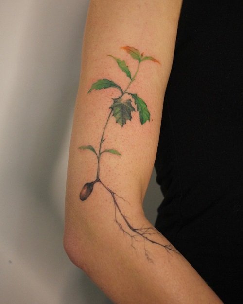 oak tree tattoos 13