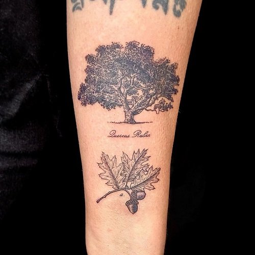 oak tree tattoos 14