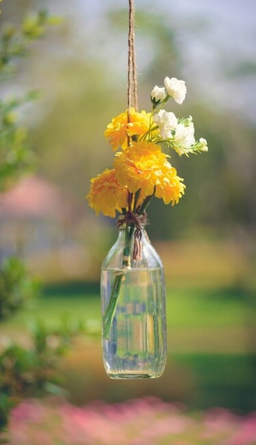 marigolds in bottle 1
