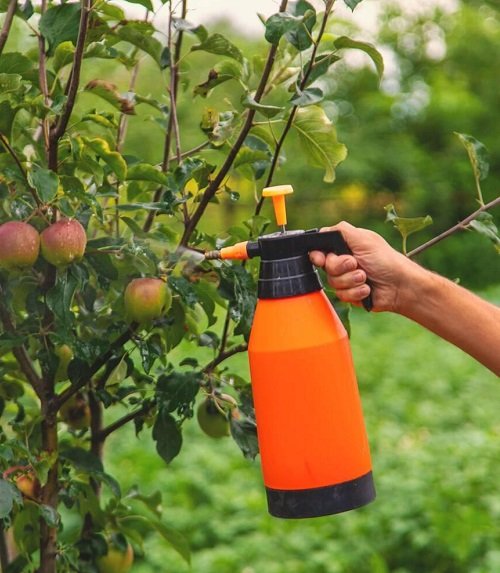 Neem Oil for Fruit Trees