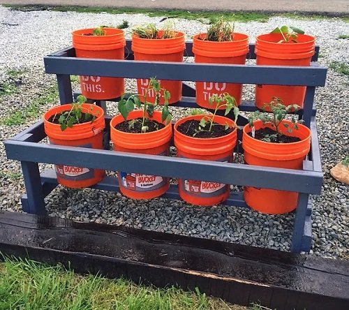 Ideas for Container Gardens Supports