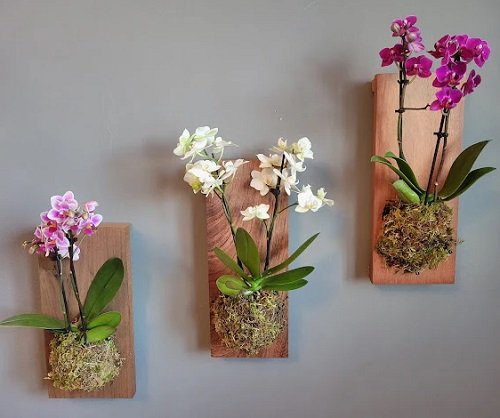 Orchid stand Arrangement Ideas