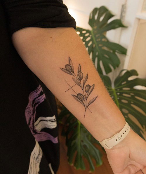 popular olive branch tattoo idea 1