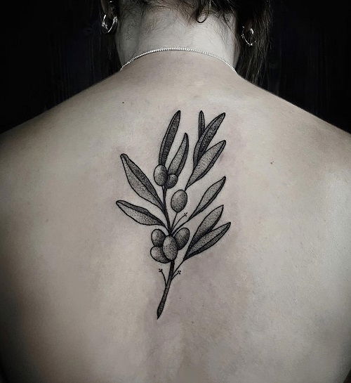 olive branch coverup tattoo 2