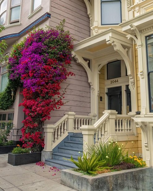 Flowers That Will Amp Up Your Home's Curb Appeal