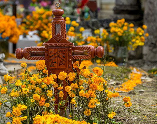 Amazing Flowers for Graves and Cemeteries 45