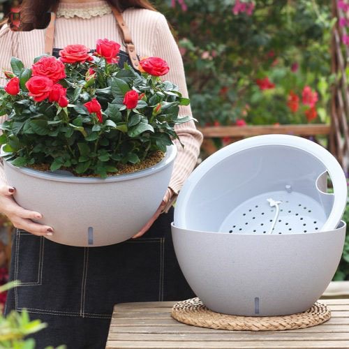 Amazing pots for roses