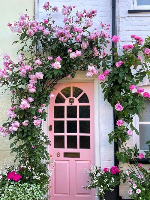 Amazing roses Flowers for Home's Curb Appeal