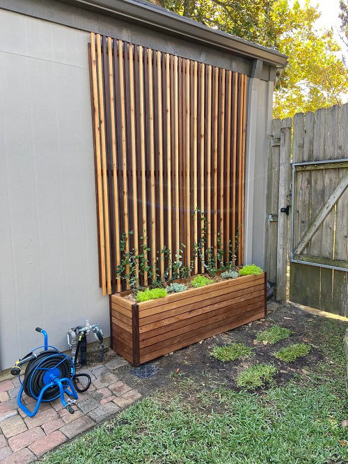 Best honeysuckle trellis ideas