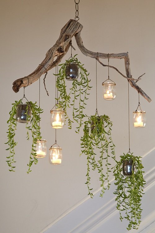 Beautiful Indoor Plant Chandelier Ideas