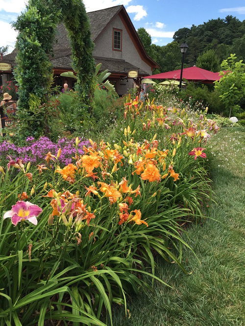 daylily arrangement ideas 2