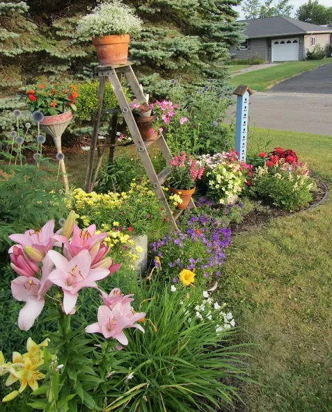 Popular landscaping ideas with daylilies 2