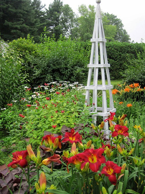 Popular landscaping ideas with daylilies