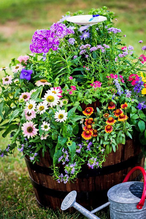 best diy pollinator pot ideas 5