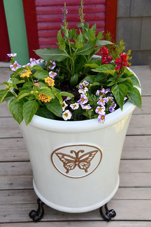 best DIY pollinator pot ideas