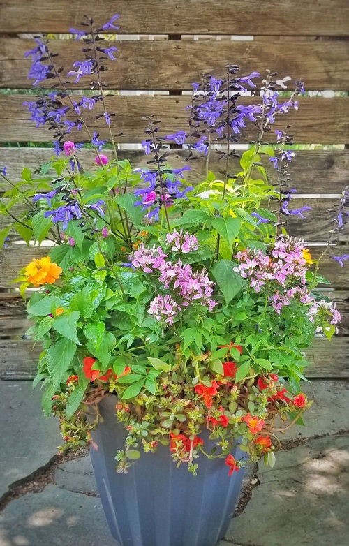 best diy pollinator pot ideas 4