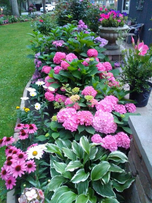 Landscaping with Hydrangeas and Hosta Ideas 3