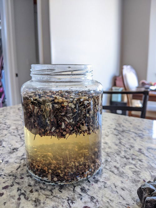 seeds sink or float test in water jar