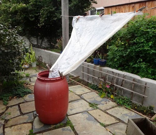 Collect Rainwater for garden