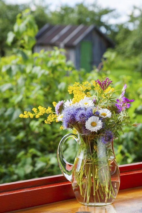 DIY Cut Flower Preservative