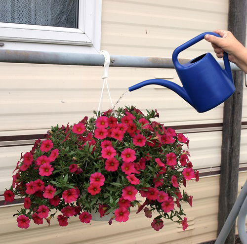 Use Long-Spout Watering Can