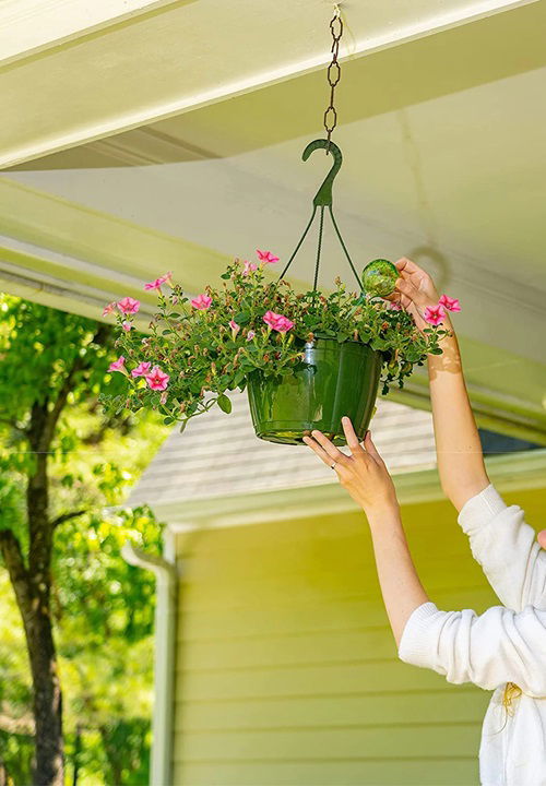 Use Watering Globe