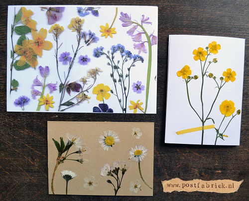 creative diy pressed flower ideas 3