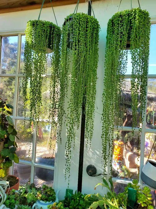 string of pearls styling idea 2