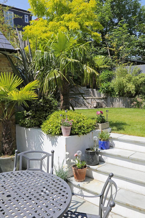 Potted Plants on Sunny Steps