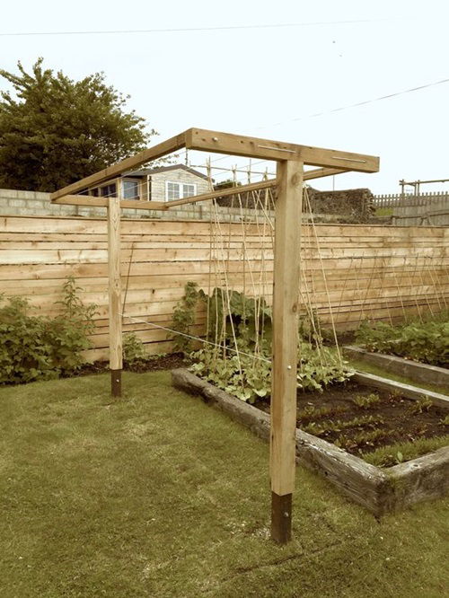 Clothesline By a Garden Bed