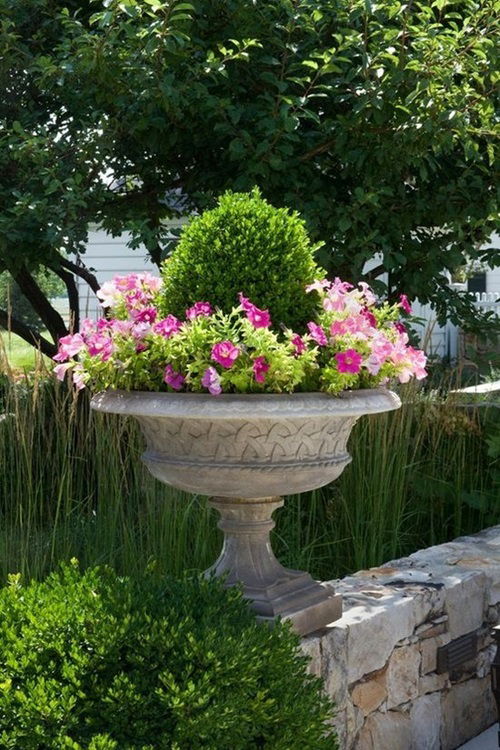 Mixed Flowers & Evergreen Boxwood Planters