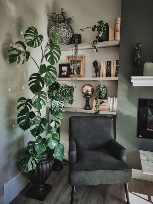 Monstera Sitting Space