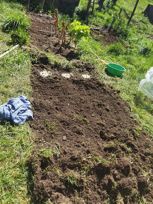 Prepare the Soil for the Next Growing Season