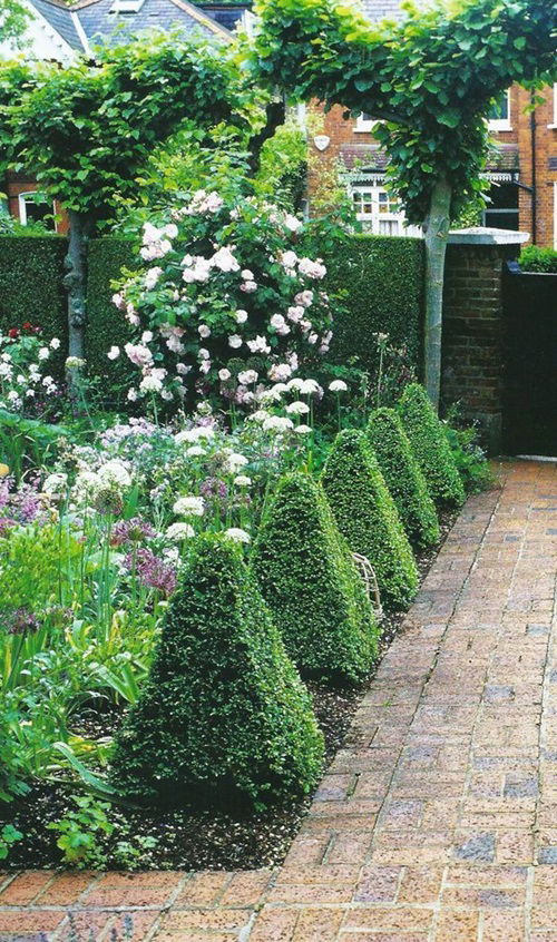 Pyramid Topiary for Stone Pathway