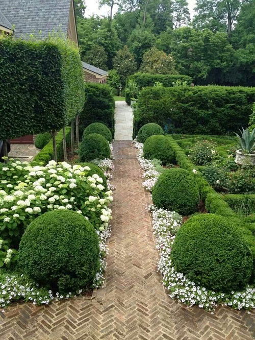 Boxwood Landscaping Ideas for Curb Appeal 4