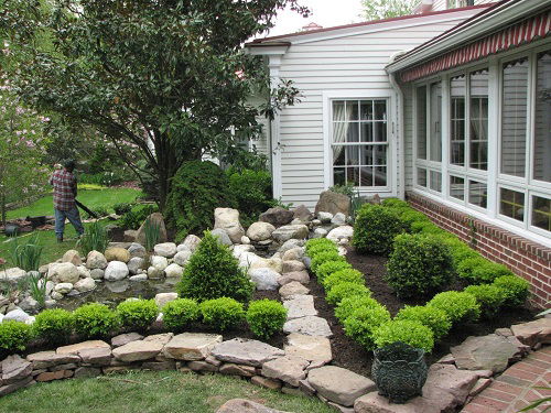 Boxwood Landscaping Ideas for Curb Appeal 1