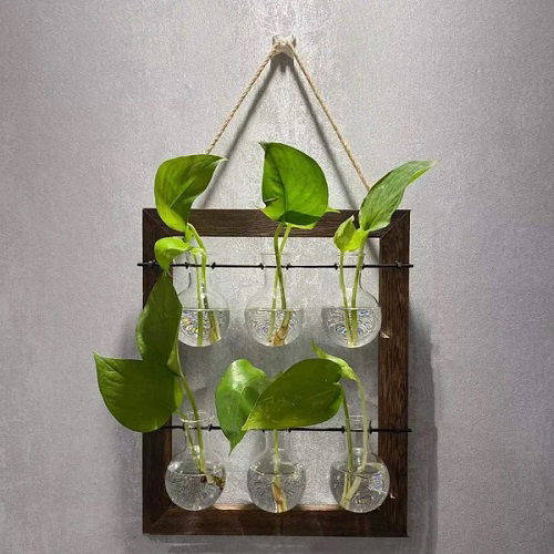 Creative Pothos water display 6