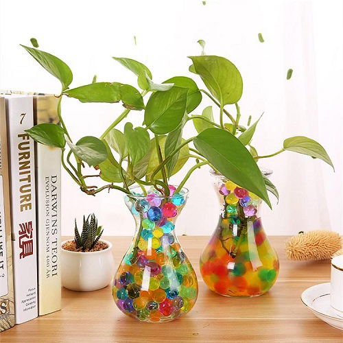 pothos in water creative ideas 2